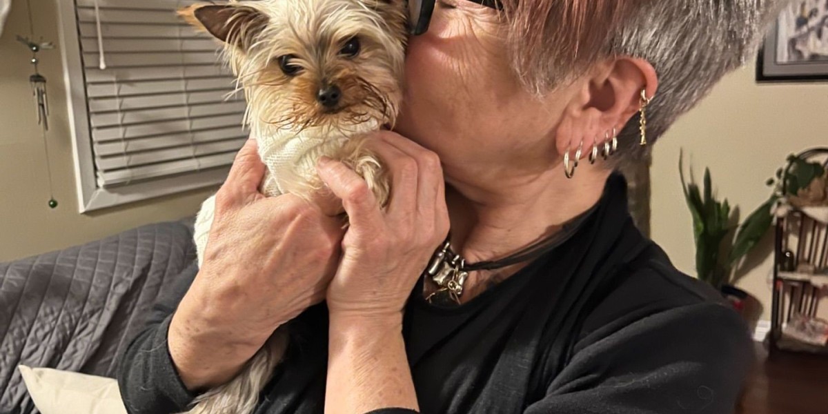 Britta Yorkshire Terrier Welpen Kaufen: Ein Leitfaden für zukünftige Hundebesitzer