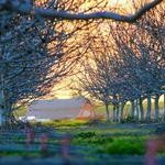 Hobart Hansen Profile Picture