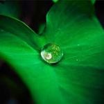 Cordia Glover Profile Picture