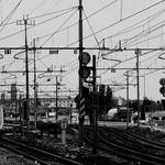 Flavio Braun Profile Picture